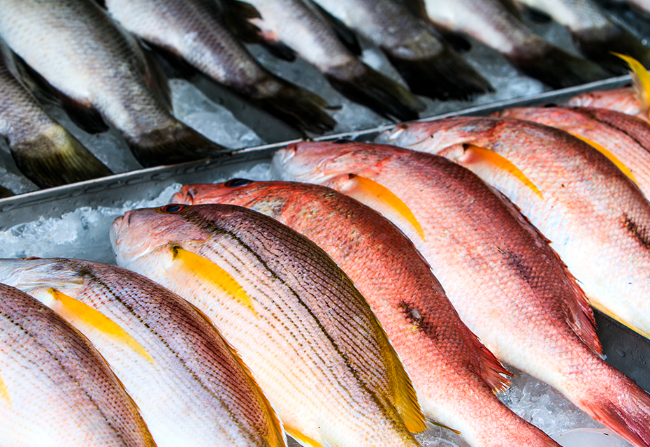 Soluções Avançadas de Inspecção de Frutos do Mar